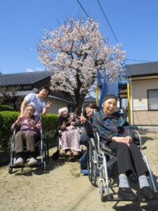 🌸平成最後のお花見🌸