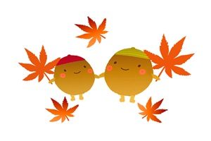 １１月２９日　紅葉行楽弁当！