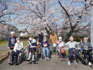 ~桜・お花見～