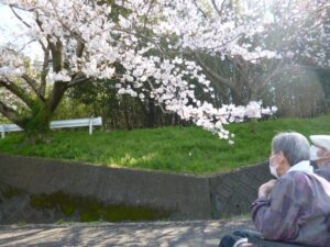 4月の花見イベント