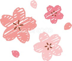 ４月１日　毎年恒例　満開桜！
