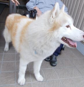 ６月９日　優しいお客様ご来所💜