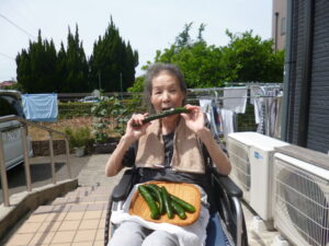 ～夏野菜収穫🥒🍅～