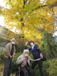 紅葉（イチョウ）🍂