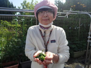 ～🥔夏野菜収穫🥔～