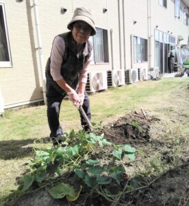 おいも掘り～🍠