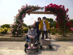 バラ園散策🌹