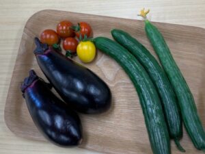 野菜の収穫すすむ🍆🥒🍅皆で味わいます🤗