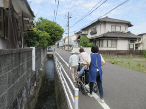 お散歩と外食