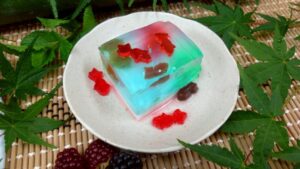 短冊に願いを込めて🎋金魚入り手作りゼリー🌟
